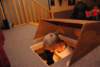 dsc_1561_small.jpg