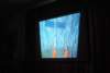 dsc_1696_small.jpg
