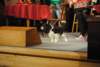 dsc_7115_small.jpg