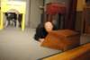 dsc_5772_small.jpg