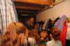 dsc_5978_small.jpg