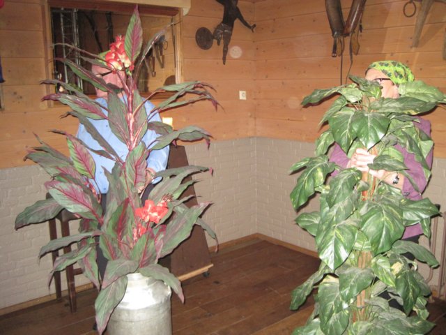img_1846.jpg